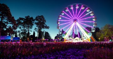 Unbe-leaf-able! Half-a-million stopped to smell the flowers for Floriade's biggest year ever
