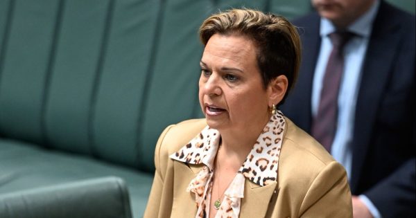 Government says no to exempting AI from Australian copyright laws