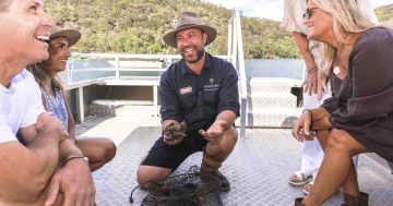 Select Sydney Tower Eye special, Oysters & Pearls by Seaplane or Elements of Byron’s new bird trail