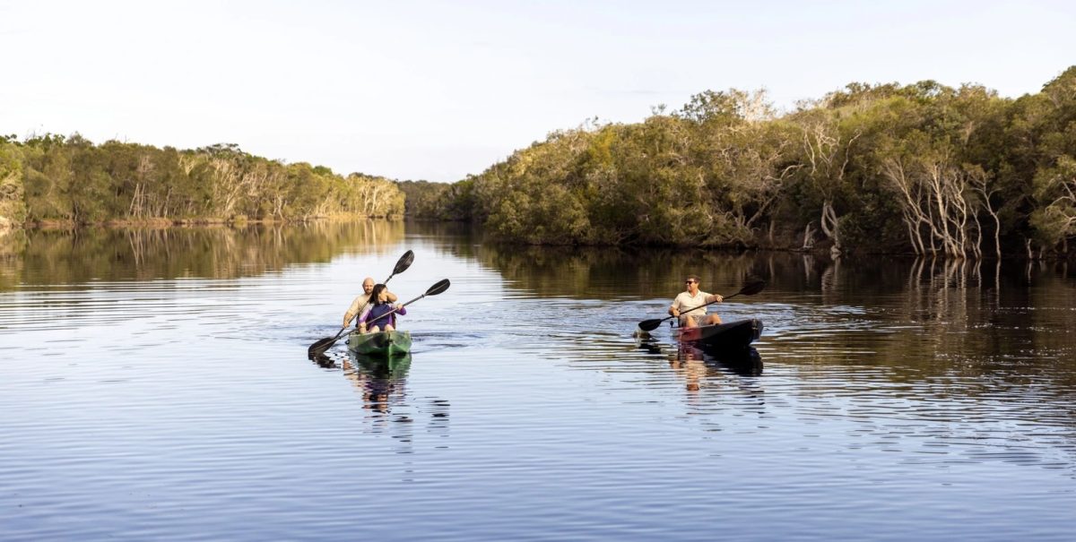 paddlers in canoes on a river