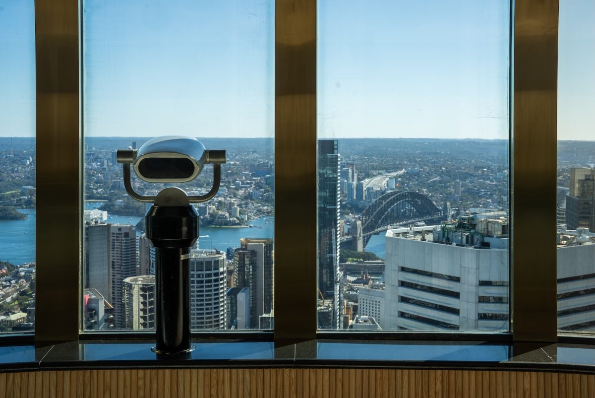 view from an observation tower