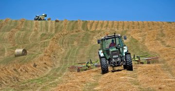 Tasmania looking to harvest sector's ideas for growing agricultural output