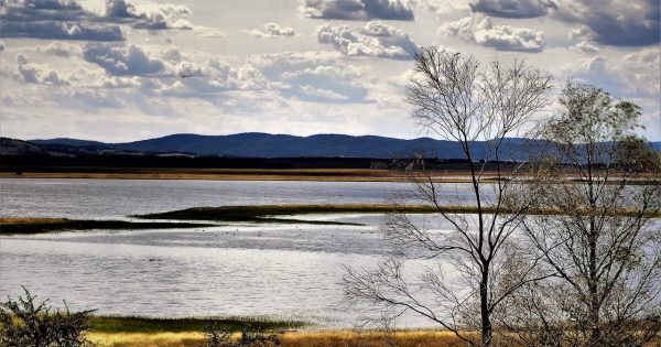 A 'multi-headed snake' near Tarago threatens water table, say activists