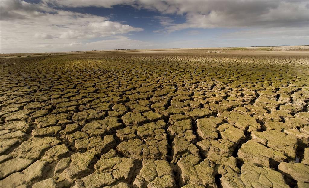 parched land in drought