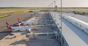 Qantas route connects Auckland and Adelaide as flights abroad return to SA capital after a decade