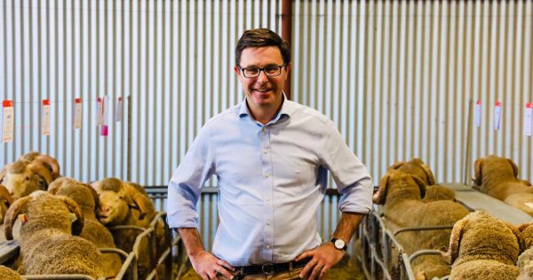 Littleproud claims 12 million hectares of farming land will be lost to net zero