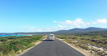 Tenders open for next phase of upgrade to major Tasmanian tourist route