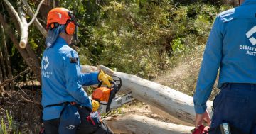 Disaster recovery support offered to South-East Queensland hailstorm victims