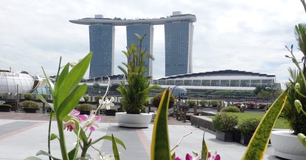 Pre-saving holiday options for journeys in 2026