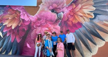 Create wondrous ‘Walking on a Dream’ escapades in WA