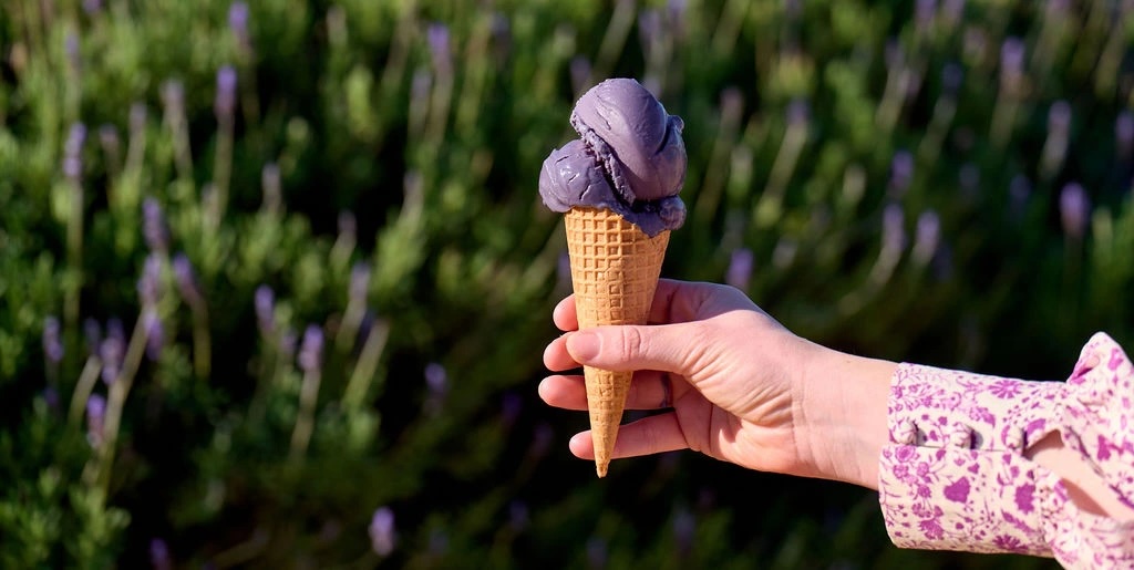 someone holding ice cream in a cone