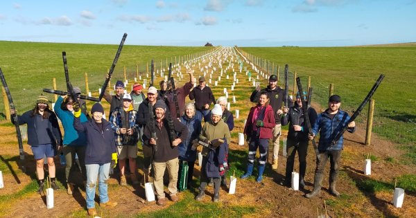 Victoria plants the seeds for regenerative forestry on farms