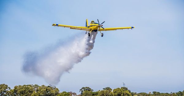 Fleet of water bombers deployed to protect billion-dollar grain harvest