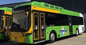 Fleet of 60 all-electric Adelaide buses to be rolled out in coming months