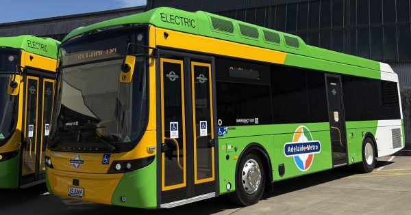 Fleet of 60 all-electric Adelaide buses to be rolled out in coming months