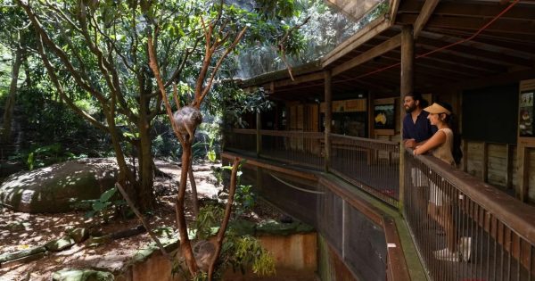 Hidden gems: Three award-winning NSW destinations