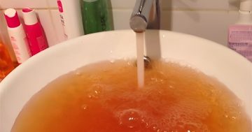 'Minister, would you drink that?': Fang slams Jackson over Narrandera tap water