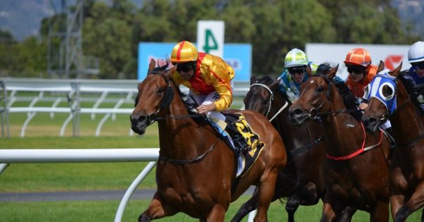 Queensland Government hopes to spur racing renewal with review-led plan