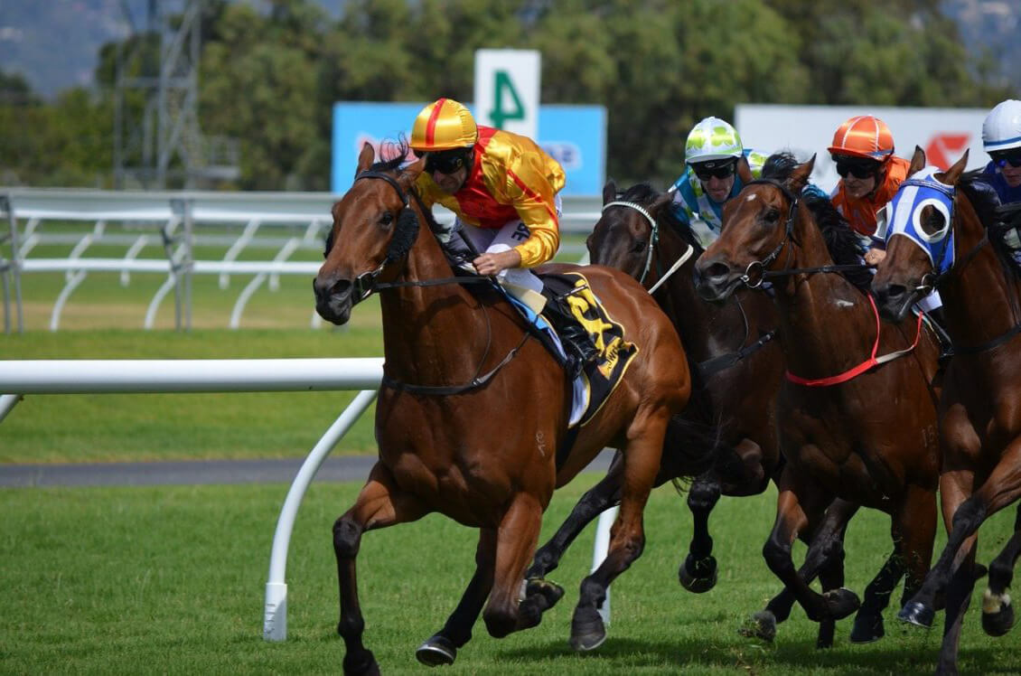 queensland office of racing 