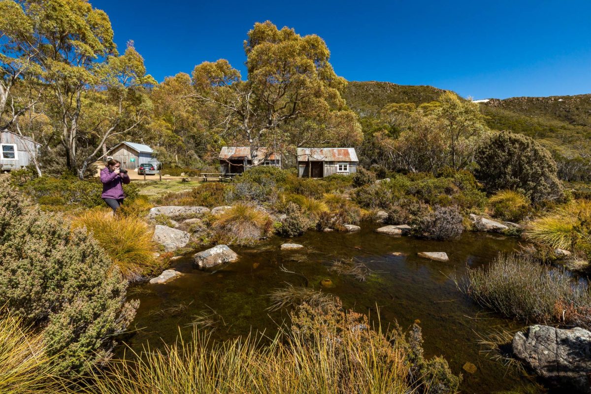 woman photographing a countryside pond