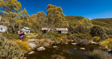 Tasmania, regional Victoria among urbanites' top relocation picks