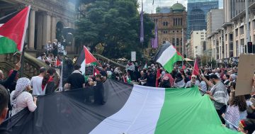 Albury MP warns ‘rushed’ NSW inquiry on banning protest slogans could have dangerous consequences