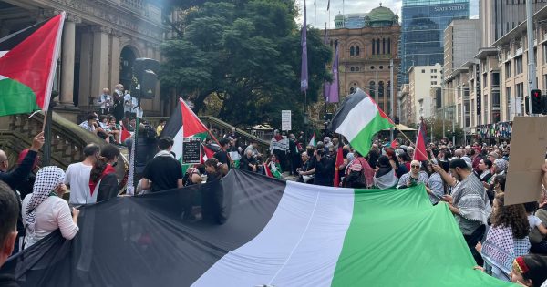 Albury MP warns ‘rushed’ NSW inquiry on banning protest slogans could have dangerous consequences