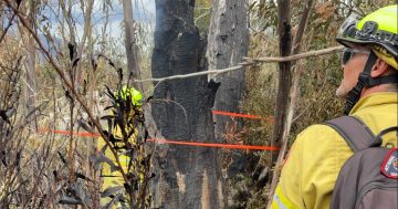 Boats, AI tech helping the fight to consolidate Namadgi National Park bushfires before next heatwave