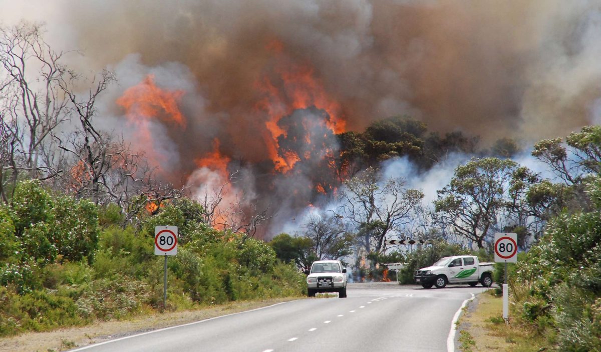 raging bushfire near a road