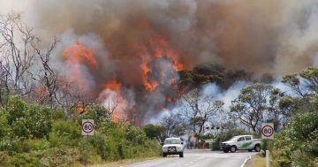 PM and Premier Allan release relief package for Victorian bushfire victims