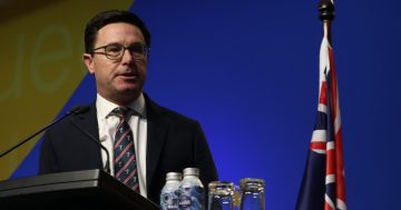 UPDATED: Nats to go it alone; Littleproud says Coalition under Ley is 'untenable'