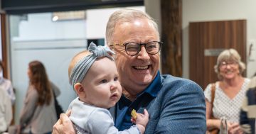 Albo dismisses One Nation proposal to force GPs to serve in rural areas