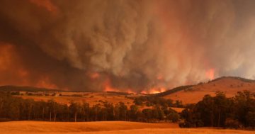 Victorian prisoners help bushfire-hit communities through Landmate program