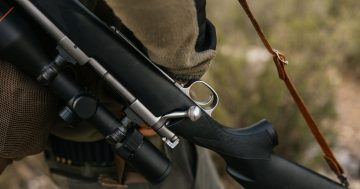 Tasmania appoints committee to review firearms laws in wake of Bondi attack