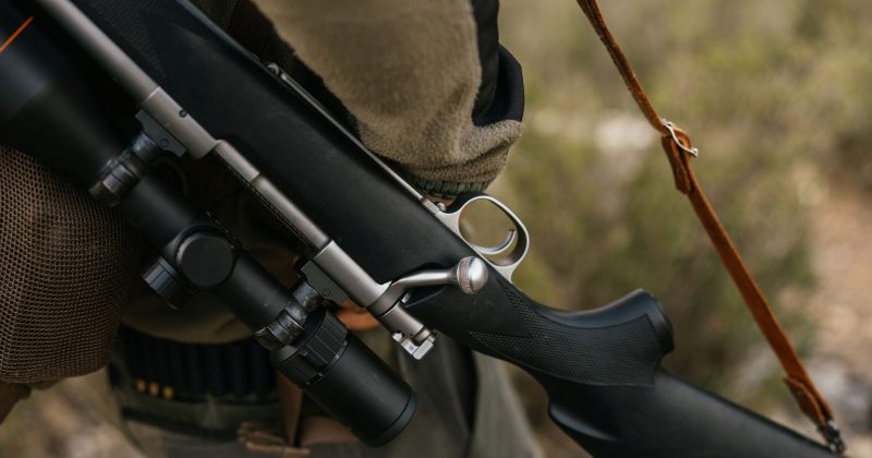 Tasmania appoints committee to review firearms laws in wake of Bondi attack