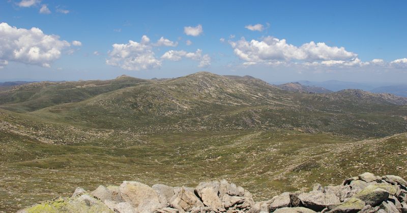 Deaf man’s discrimination complaint involving Riverina Police dismissed