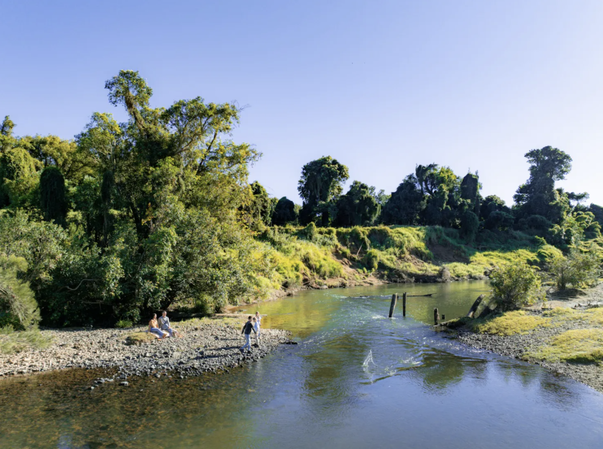 people relaxing at a river
