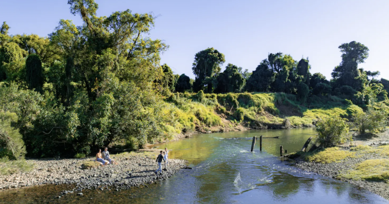 Queensland, federal funds aid community groups to bolster vital Mary River habitats