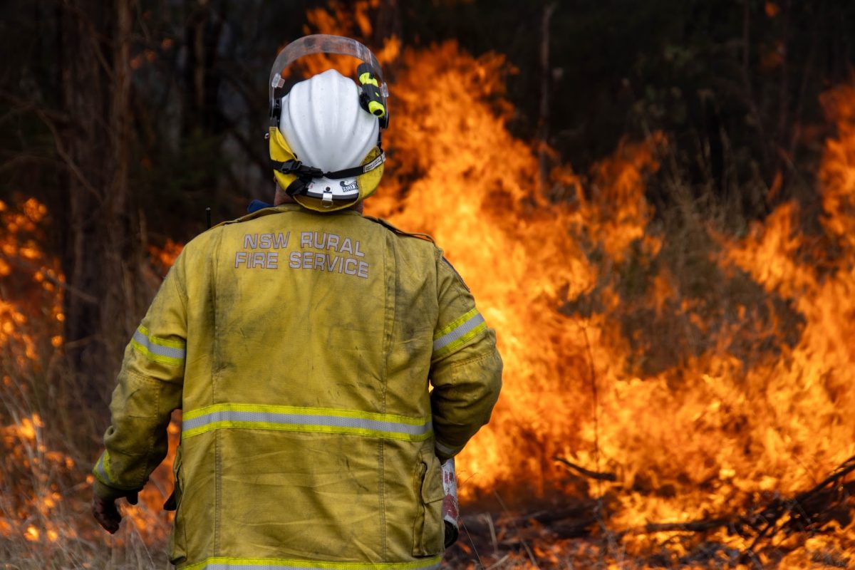 firefighter facing fire front