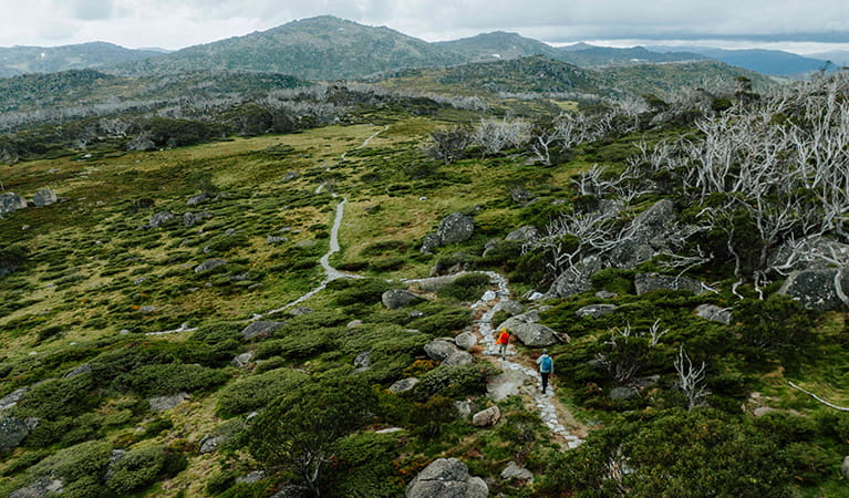 Snowies Alpine Walk