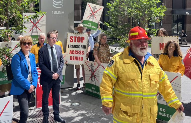 Southern NSW MPs Helen Dalton and Dr Joe McGirr joined HumeLink protesters in Sydney in October last year. 