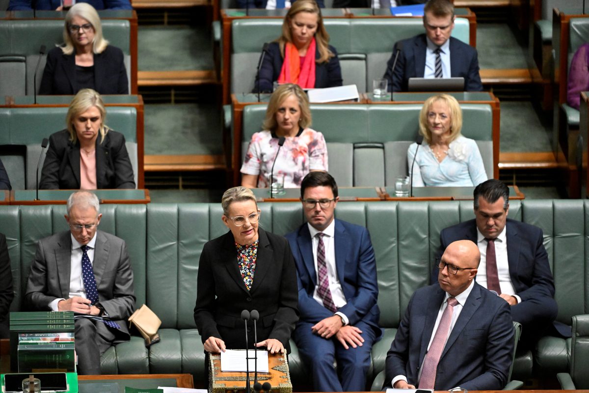 "Do you want family farms with children going to school, with mums and dads at the kiosk on footy days, a football team with a future ...?" asks the long-standing Member for Farrer Sussan Ley.