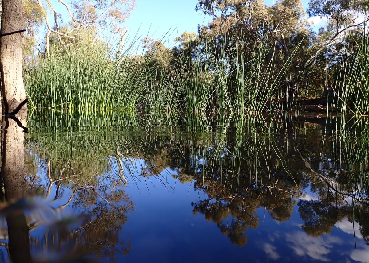 Without access to better water policies, the Basin will lose it vibrant biodiversity, say Riverina farmers.
