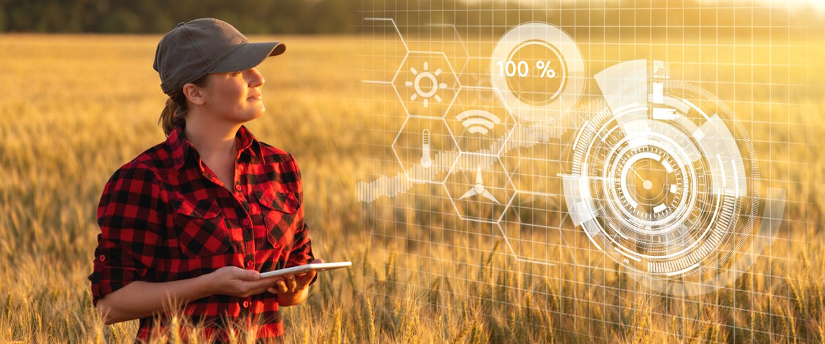 Charles Sturt University has launched a new website to help educate farmers about the risk of cyber threats and attacks.