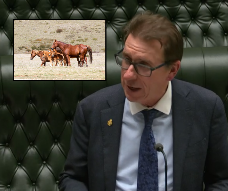 Member for Wagga Dr Joe McGirr said the NSW Legislative Council's decision to approve The Kosciuszko Wild Horse Heritage Repeal Bill 2025 was a step to writing a wrong made when the original bill was introduced in 2018.