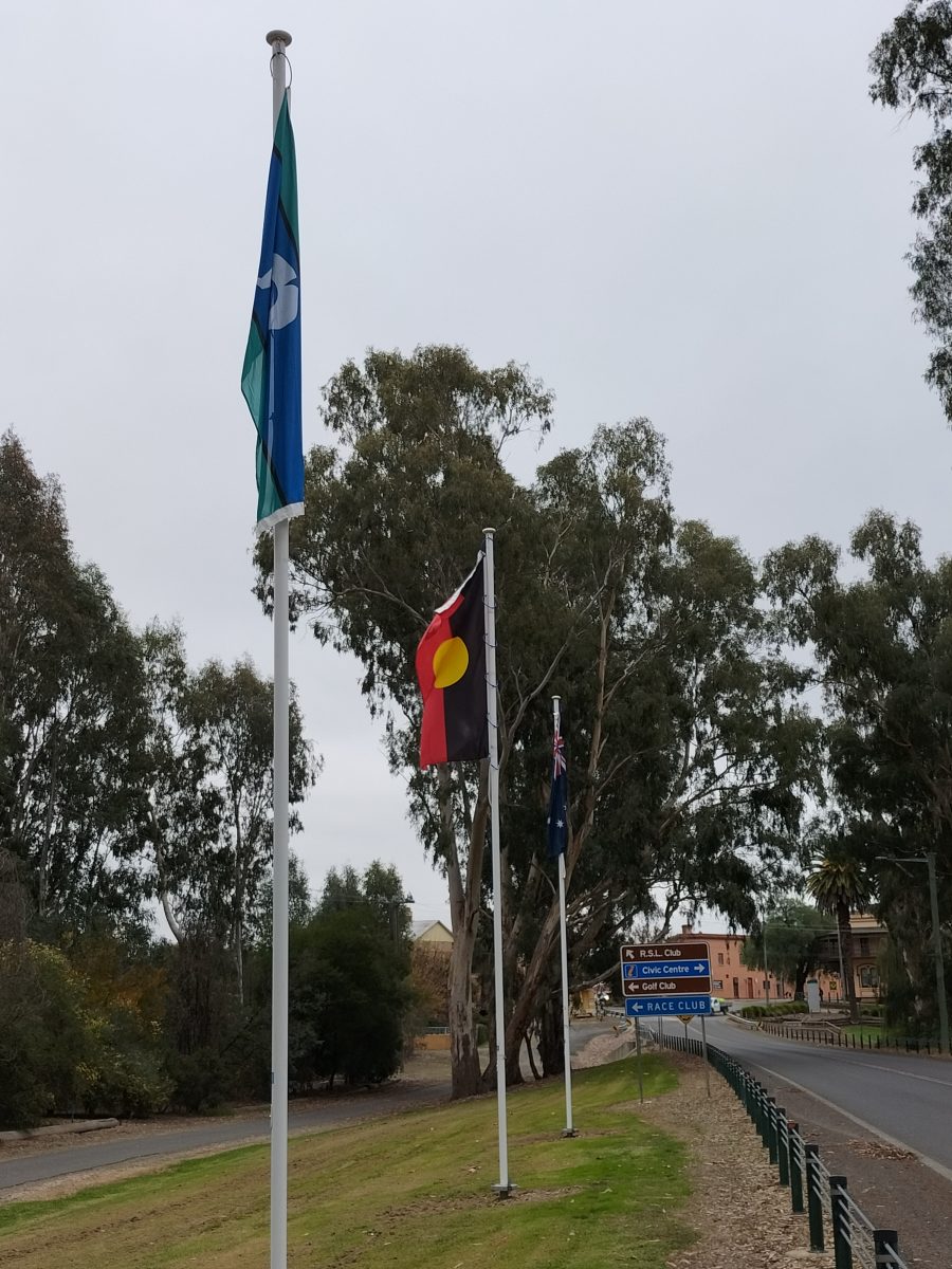 The Aboriginal and Torres Strait Islander flags currently stand outside Federation Council chambers.